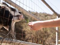 Valentina Nappi So Sexy In Her Cowgirl Boots!