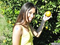 Cali Lee Is Fucking In An Orange Grove!