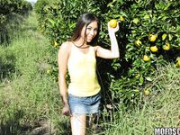 Cali Lee Is Fucking In An Orange Grove!