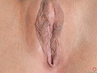 Amara Romani Full Round Ass In Little Red Booty Shorts!