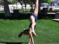 Athena Faris Posing In Her Lace Top And Booty Shorts!