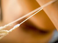 Madi Meadows Nude Among The Palm Trees!