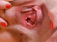 Ella Nova In And out Of Her Sheer Panties!