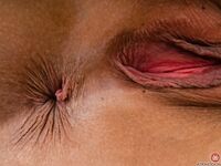 Bella Rolland Drops Her Bra And Panties!