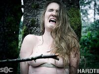 Ashley Lane Hardtied Bondage Pictures!