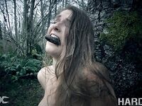 Ashley Lane Hardtied Bondage Pictures!