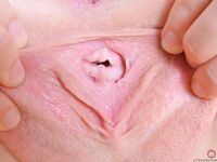 Marina Woods In A Sexy One Piece!