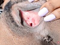 Raven Wylde Just Leaves On Her Glasses!