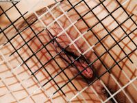 Celeste Star Teases Her Pussy With A Tennis Racquet!