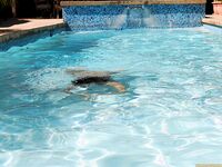 Ann Marie Rios Rubs Off Her Pussy Pool Side!