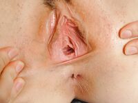 132 Nude Pictures Of Faith Leon!