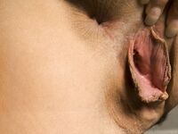 Eva Angelina Takes Off Her One Piece Bathing Suit!