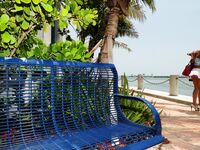 Ricki White Shows That Ass Off While In Miami!