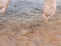 Diamond Kitty Takes An Anal Cream Pie!