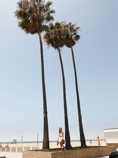 Alex Mae Out At The Beach Looking So Fine!