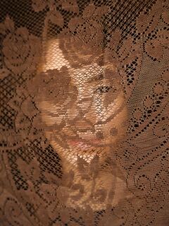 Jocelyn Kelly Has A Lot Of Skin To Show Off!