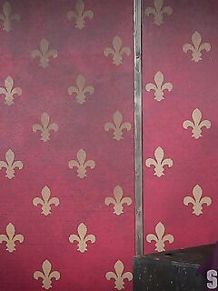 Yhivi All Tied Up Taking A Real Cock And A Strap On!